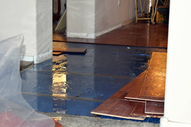 Professional Basement Flood Cleanup technician working in Stewart, TN